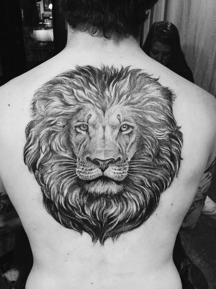 Grey lion tattoo on upper back