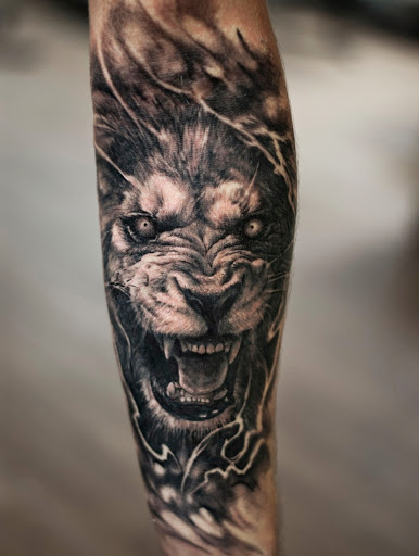 Grey roaring lion tattoo on Men forearm