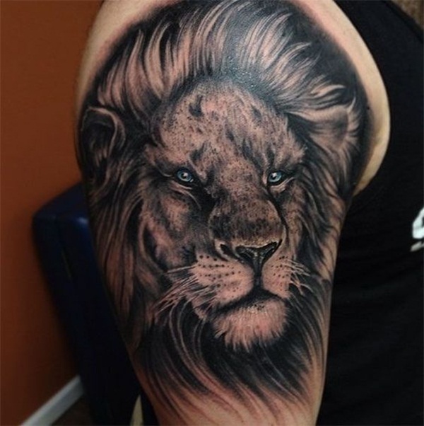 Grey shaded lion tattoo on shoulder for men