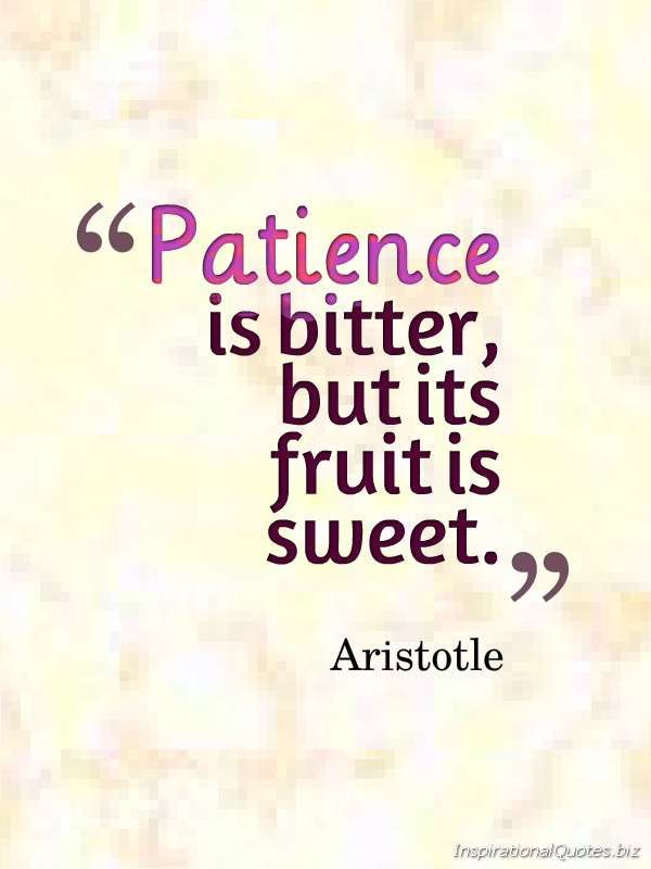Patience is bitter, but its fruit is sweet – Aristotle