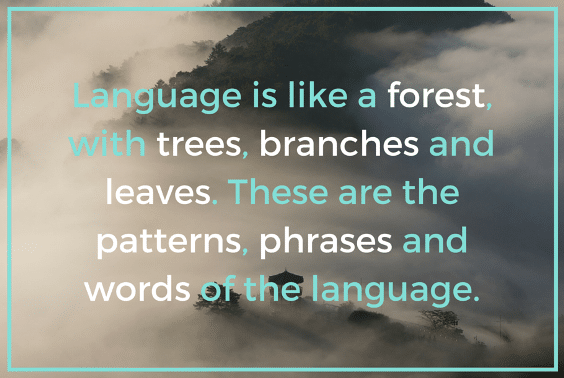 The language is like a forest, with trees, branches and leaves. These are the patterns, phrases and words of the language