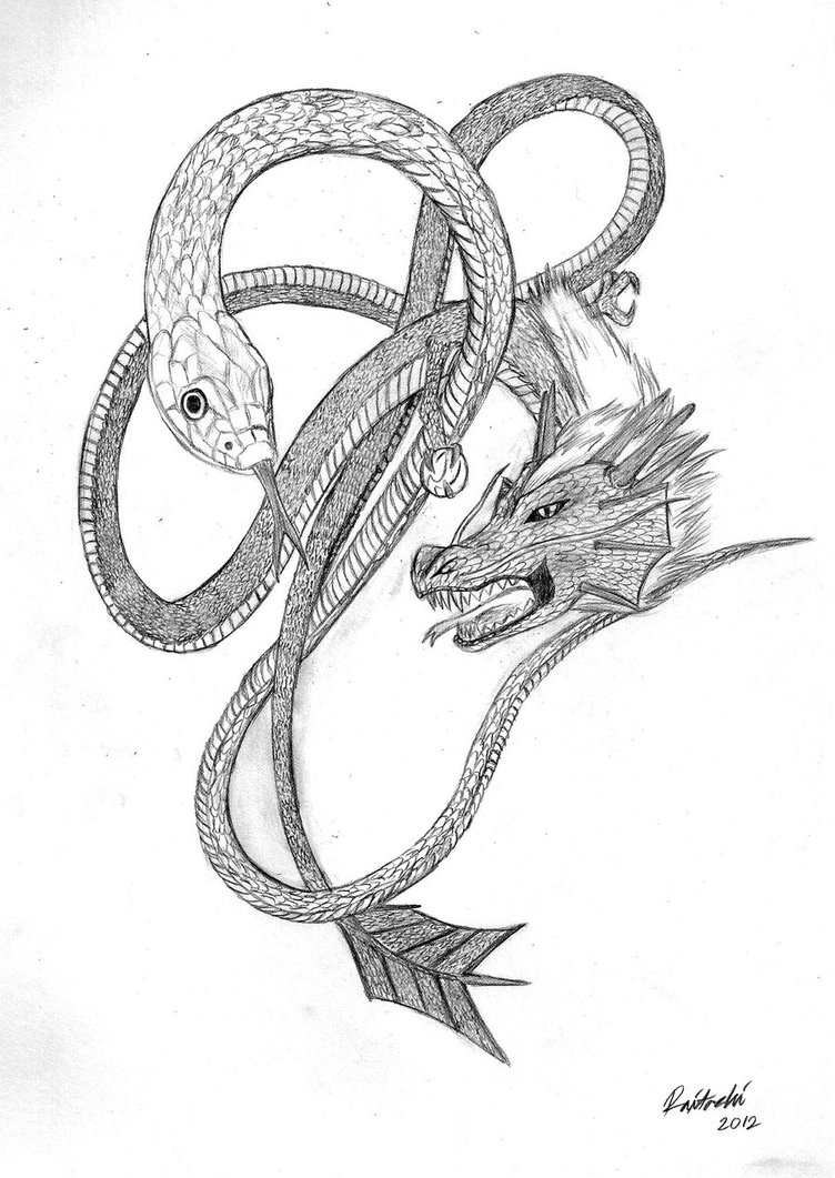 Grey Snake and a Dragon tattoo sketch by Raitachi