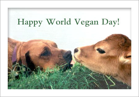 happy World Vegan Day dog and calf