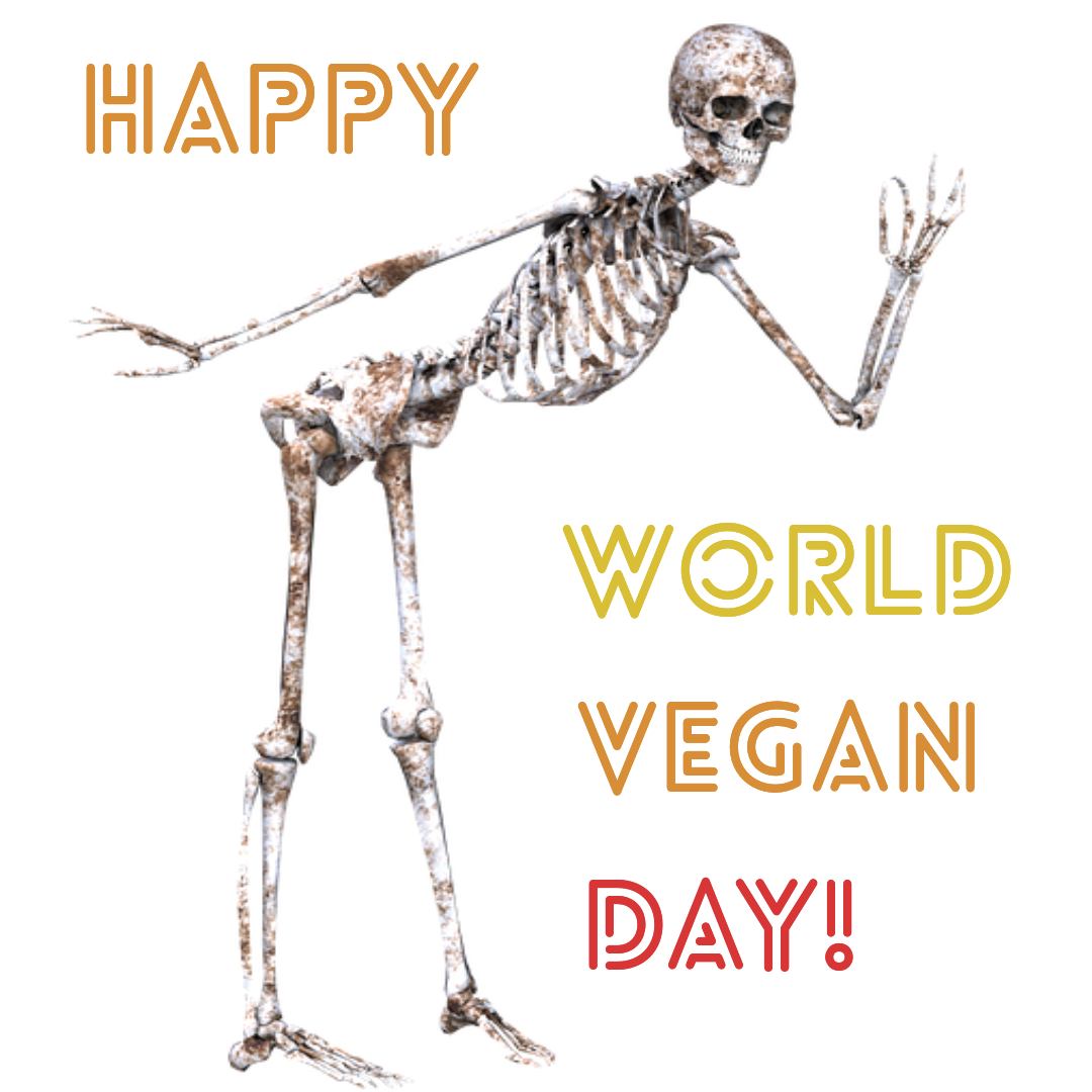 happy world vegan day skeleton picture