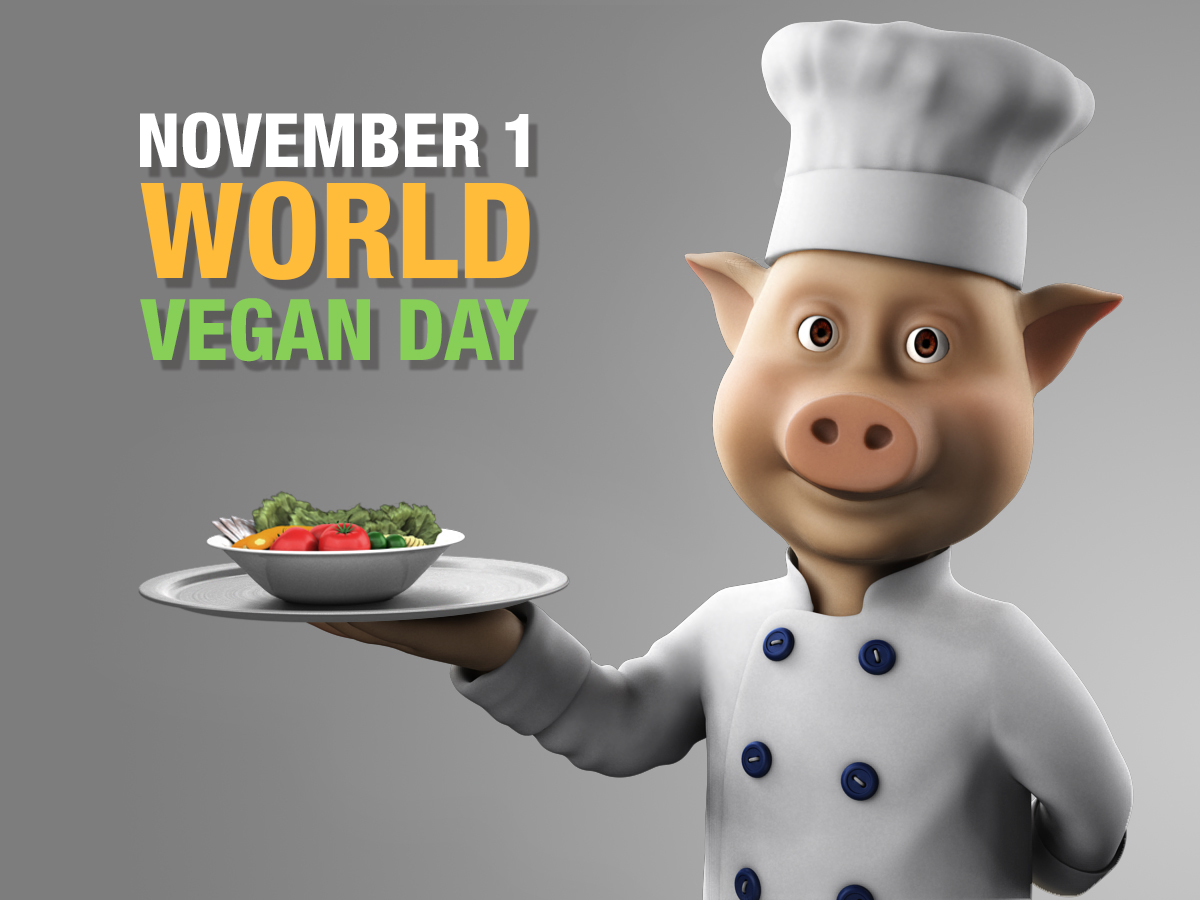 november 1 world vegan day piglet chef illustration