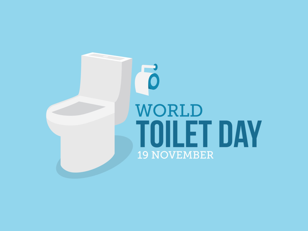 world toilet day 19 november toilet seat