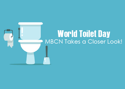 world toilet day takes a closer look