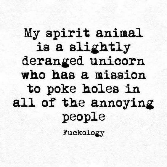 My Spirit Animal Is A Slightly Deranged Unicorn Who Has A Mission