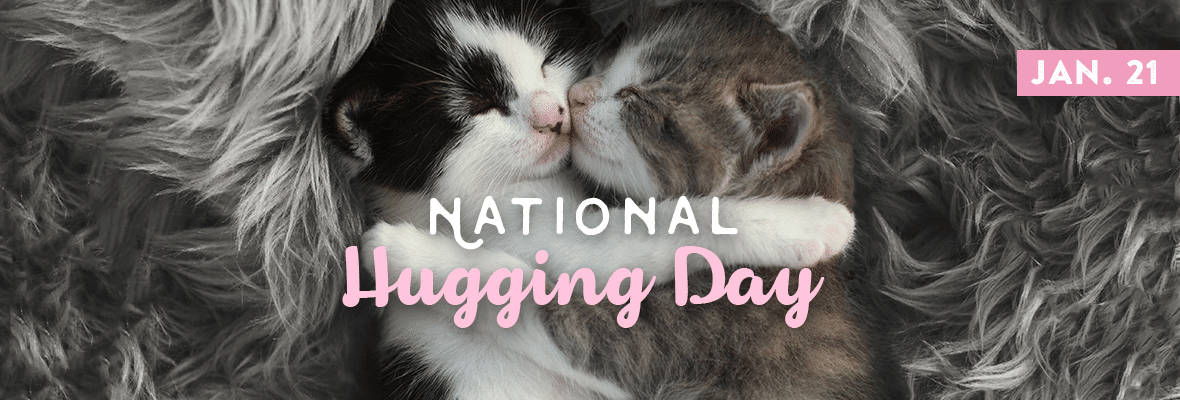 National Hugging Day kittens hugging january 21