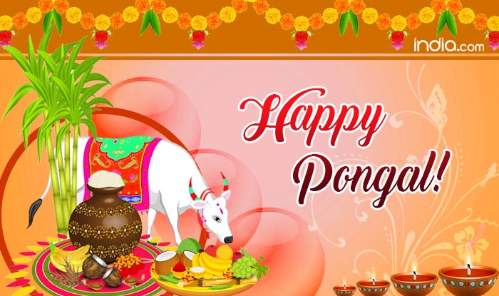 happy Pongal 2019 greetings