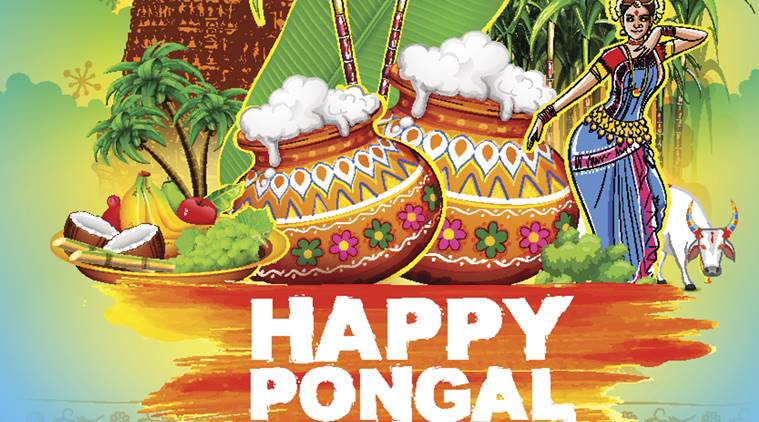 150 Top Happy Pongal Greeting Picture Ideas