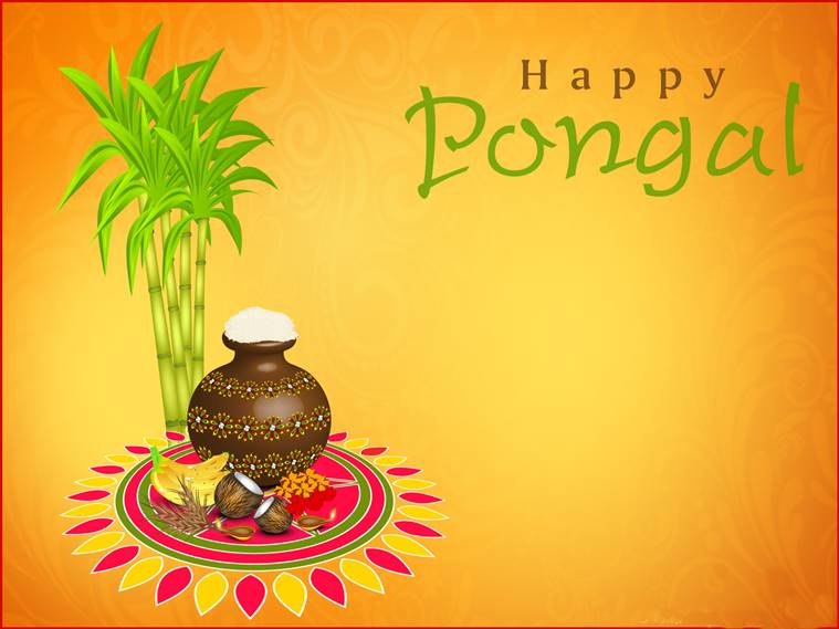 happy Pongal pookalam picture