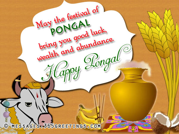 may the festival of Pongal bring you good luck, wealth and abundance happy Pongal