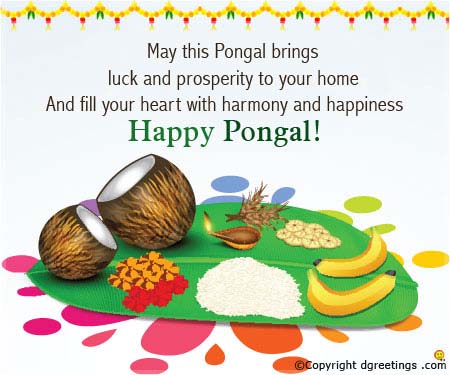 may this Pongal brings luck and prosperity to your home happy Pongal