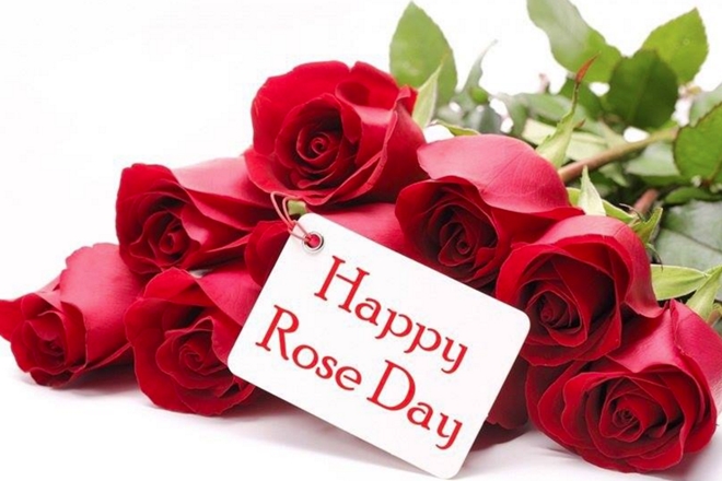 100+ Best Happy Rose Day 2019 Wish Pictures And Images