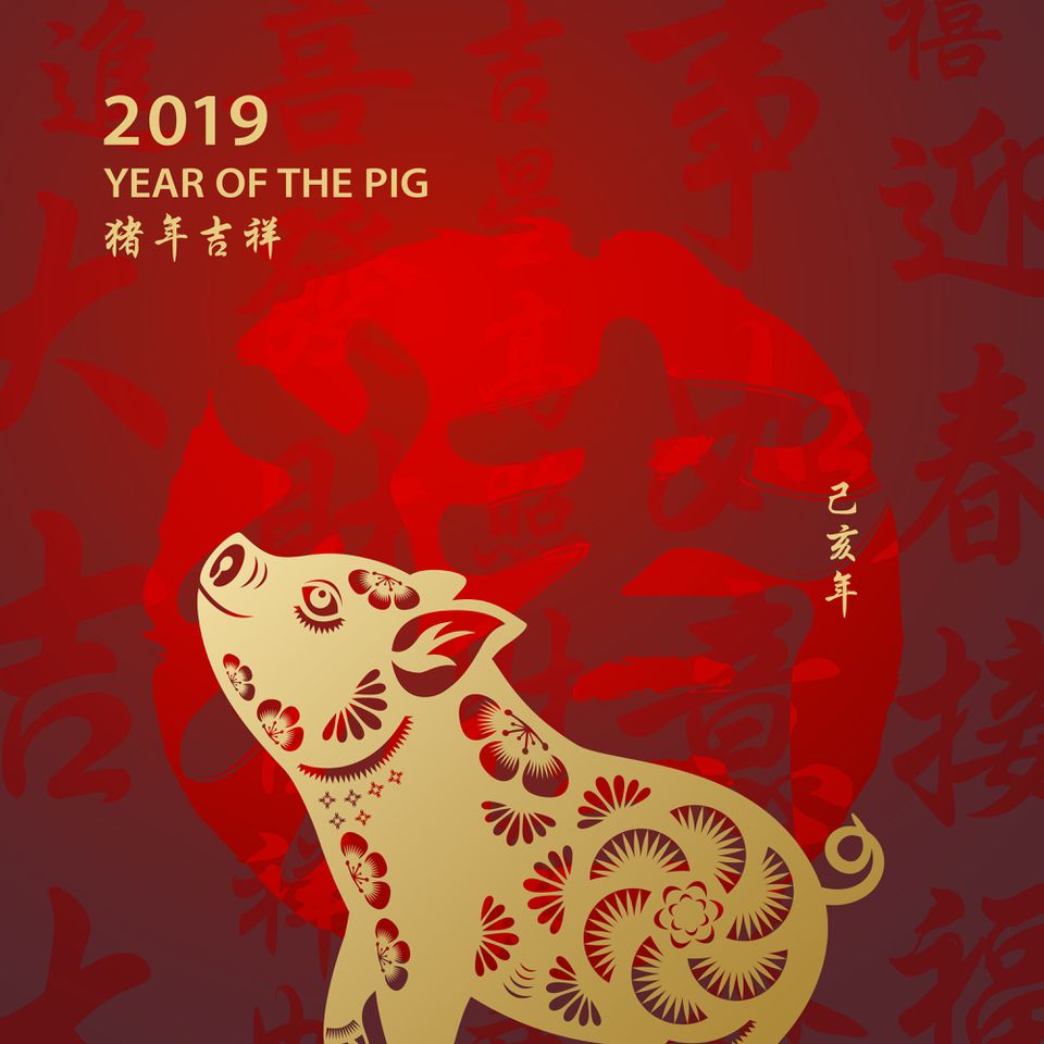 2019 year of the pig happy Chinese new year