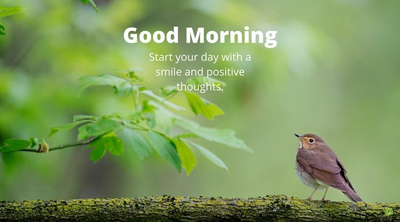 good morning start your day with a smile and positive thoughts