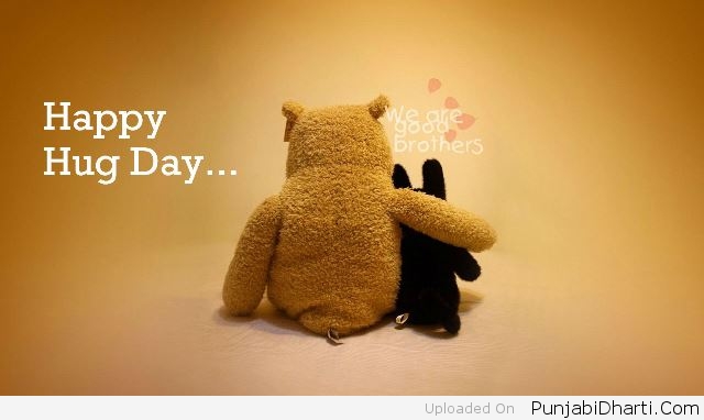 happy hug day we are good brothers