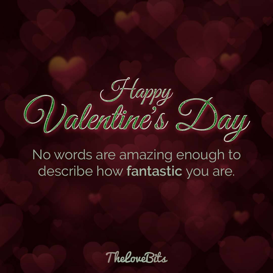 happy valentine’s day no words are amazing enough to describe how fantastic you are