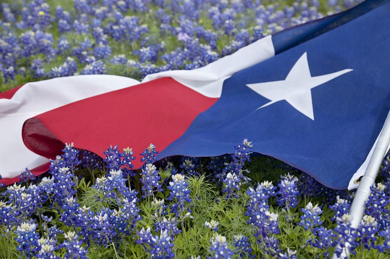independence day texas flag