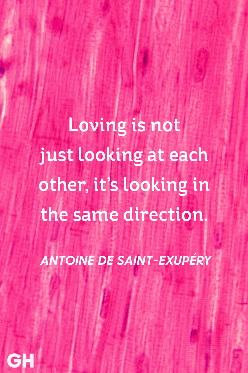 loving is not just looking at each other, it’s looking in the same direction. Antoine de saint-exupery