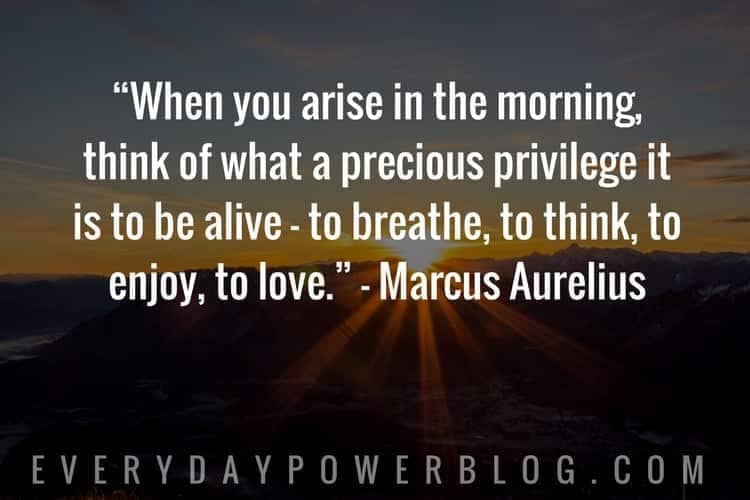 when you arise in the morning think of what a precious privilege it is to be alive to breathe, to think, to enjoy to love. marcus aurelius