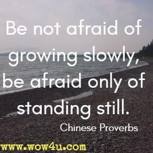 Be not afraid of growing slowly, be afraid only of standing still.