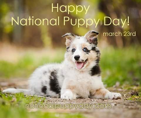happy national puppy day march 23rd