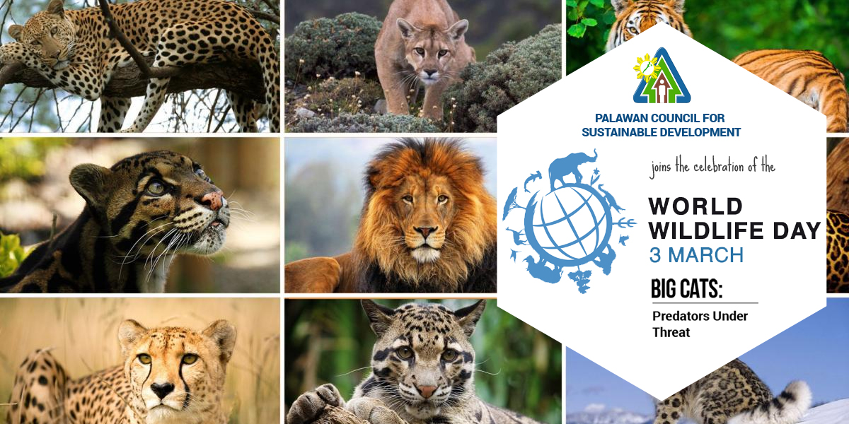 join the celebration of the world wildlife day