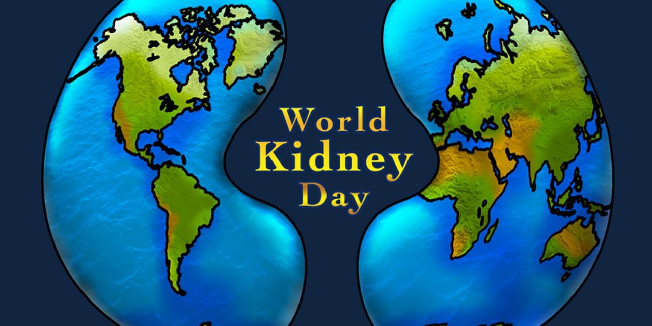 world kidney day earth globe