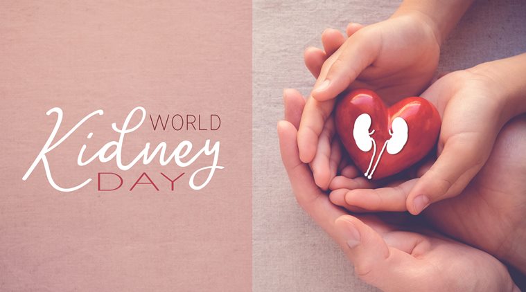 adult and child hands holiding red heart, World Kidney Day