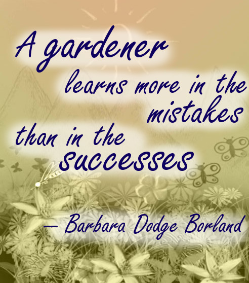 A gardener learns more in the mistakes than in the successes. Barbara Dodge Borland