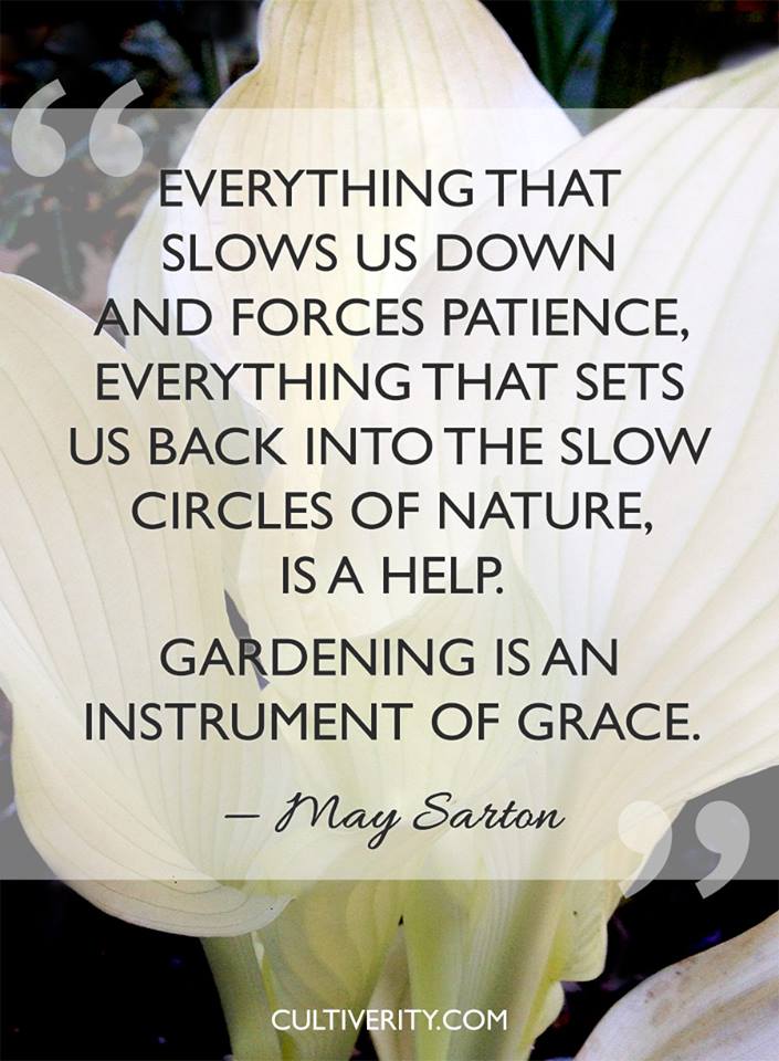 Everything that slows us down and forces patience, everything that sets us back into the slow circles of nature, is a help. gardening is an instrument of grace. may sarton