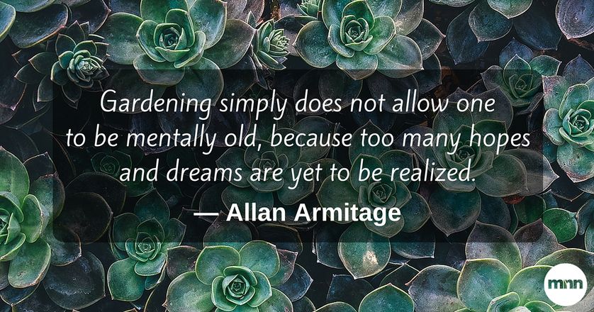 Gardening simply does not allow one to be mentally old, because too many hopes and dreams are yet to be realized. allan armitage