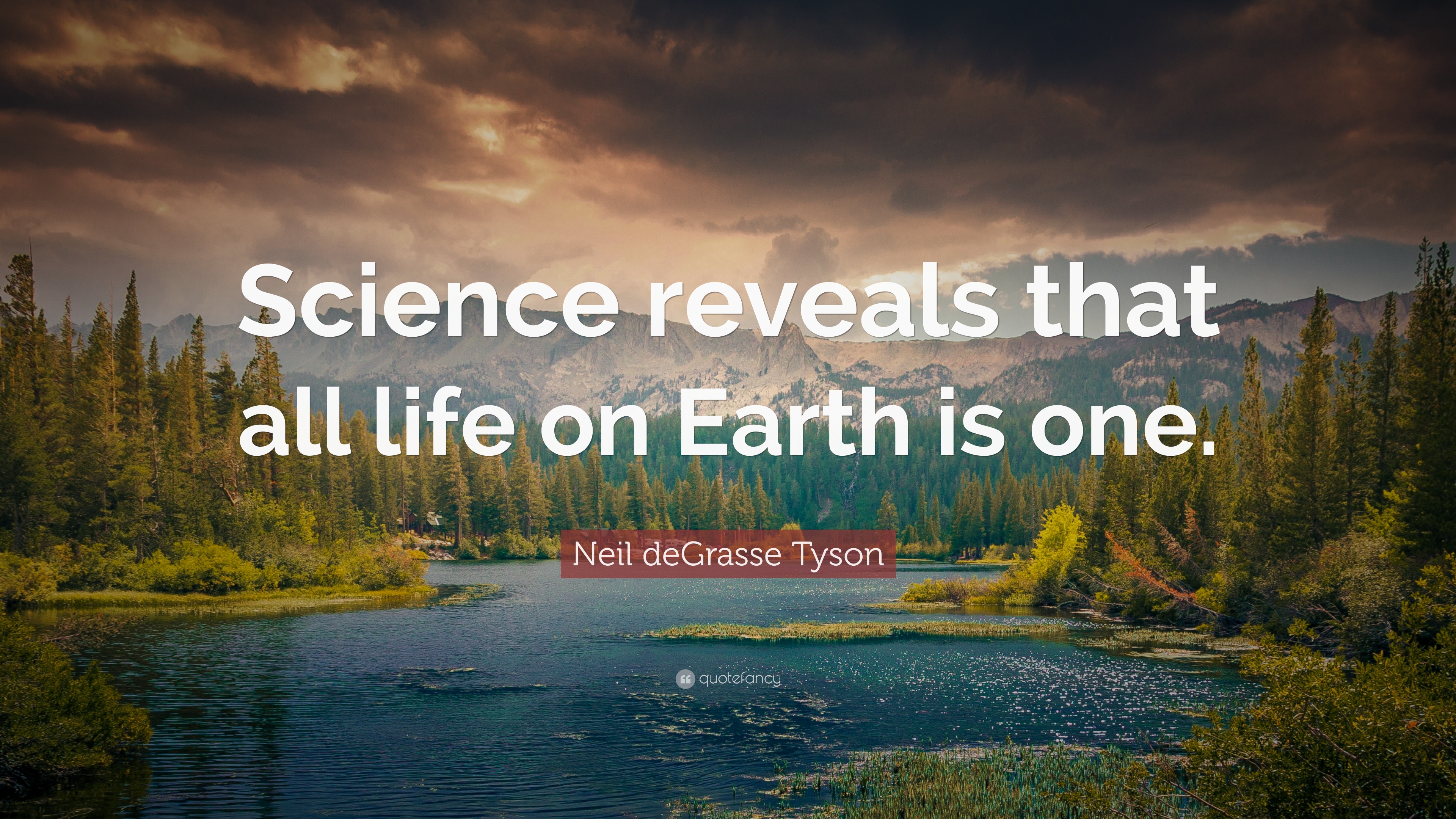 Science reveals that all life on Earth is one.