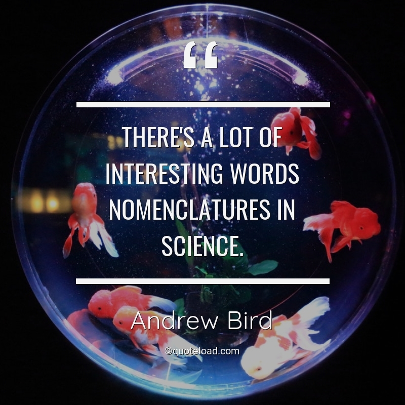 There’s a lot of interesting words nomenclatures in science. andrew bird