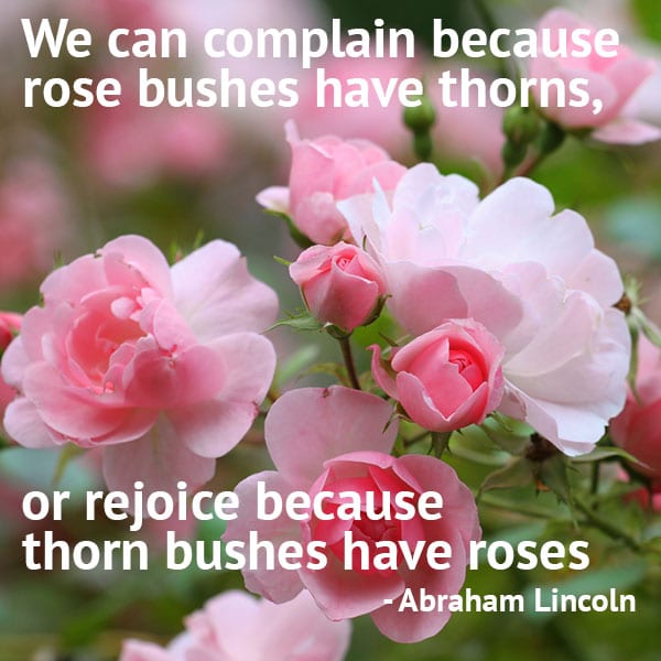 We can complain because rose bushes have thorns, or rejoice because thorn bushes have roses. abraham lincoln