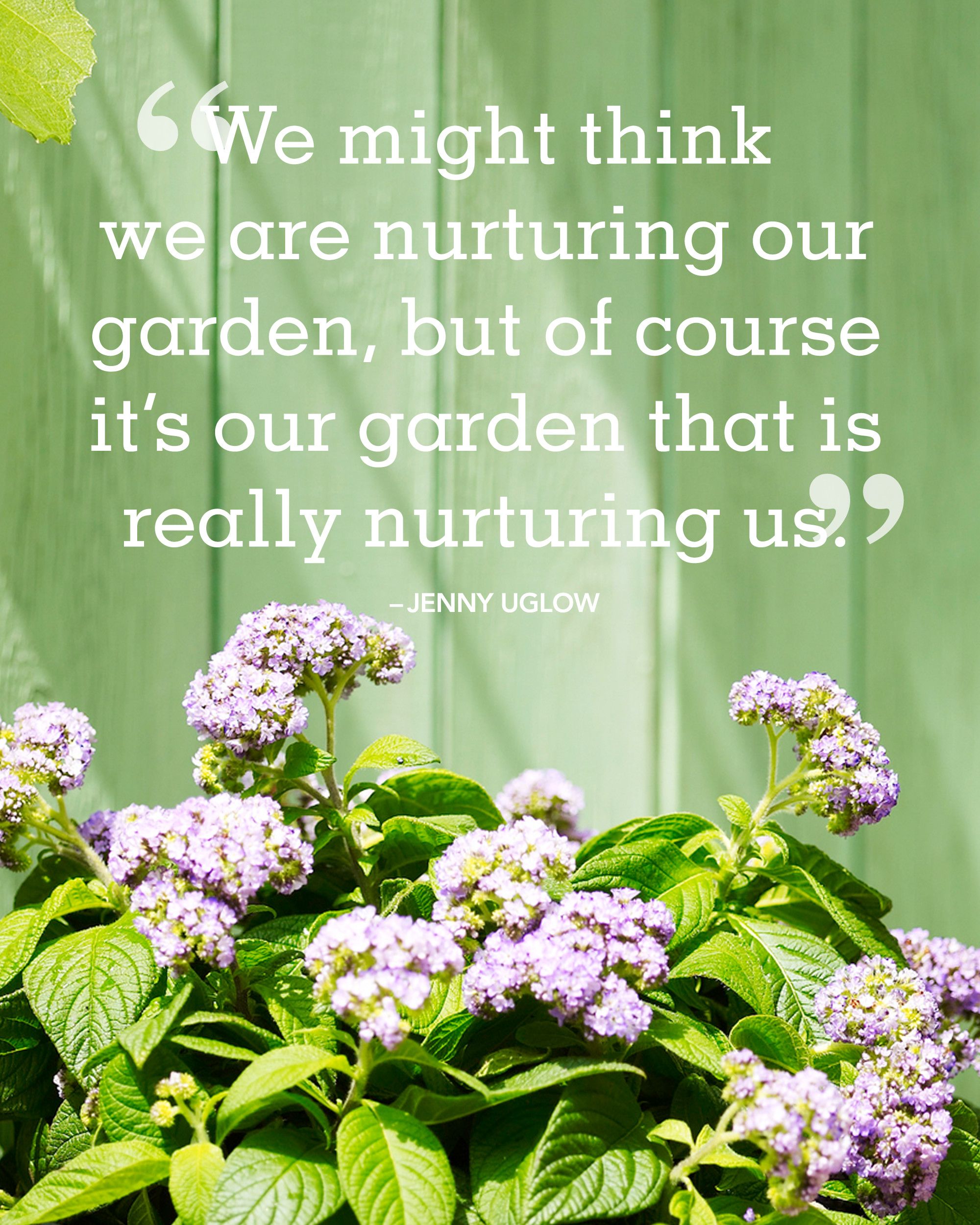 We might think we are nurturing out garden, but of course it’s our garden that is really nurturing us. Jenny Uglow