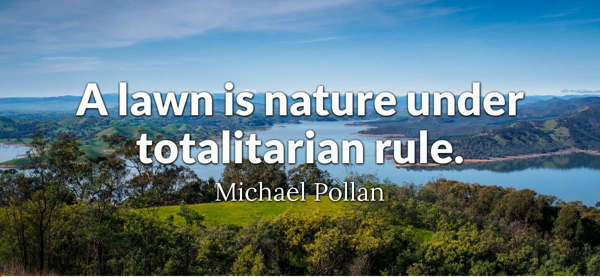 a lawn is nature under totalitarian rule. michael pollan