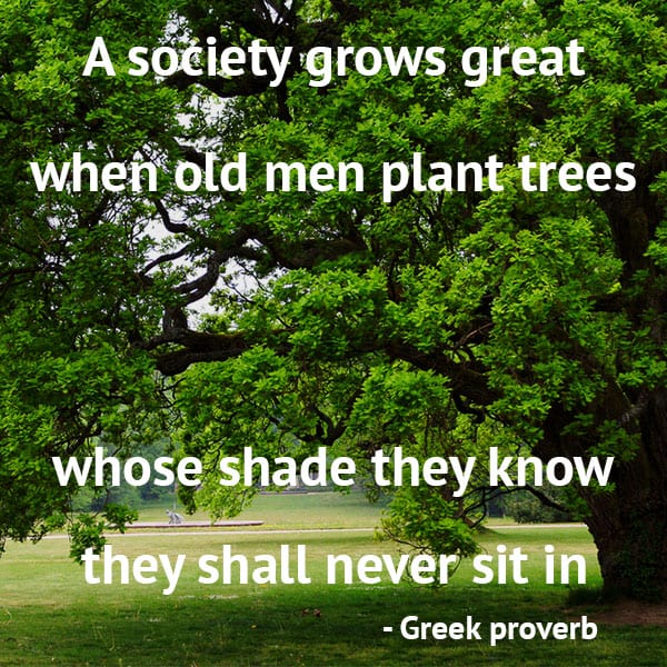 a society grows great when old men plant trees whose shade they know they shall never sit in. greek proverb