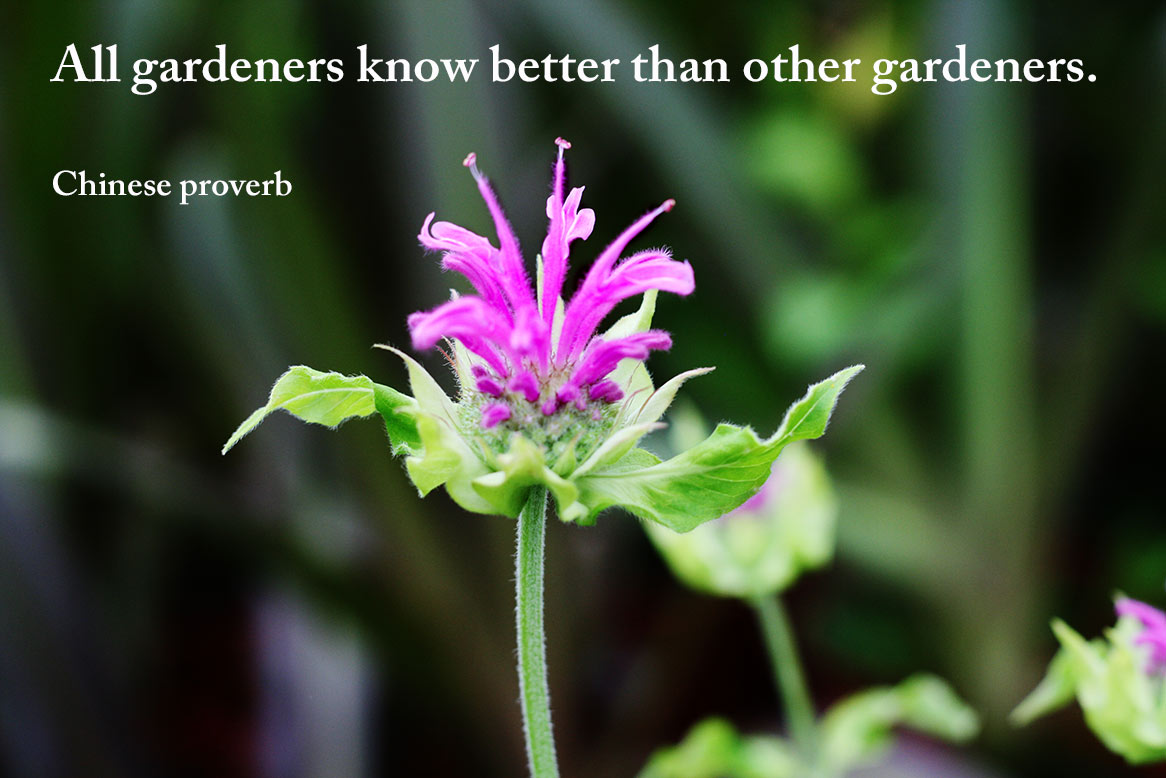 all gardeners know better than other gardeners.