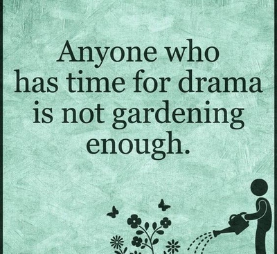 anyone who has time for drama is not gardening enough.