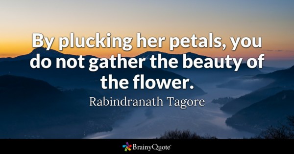 by plucking her petals, you do not gather the beauty of the flower. rabindranath tagore