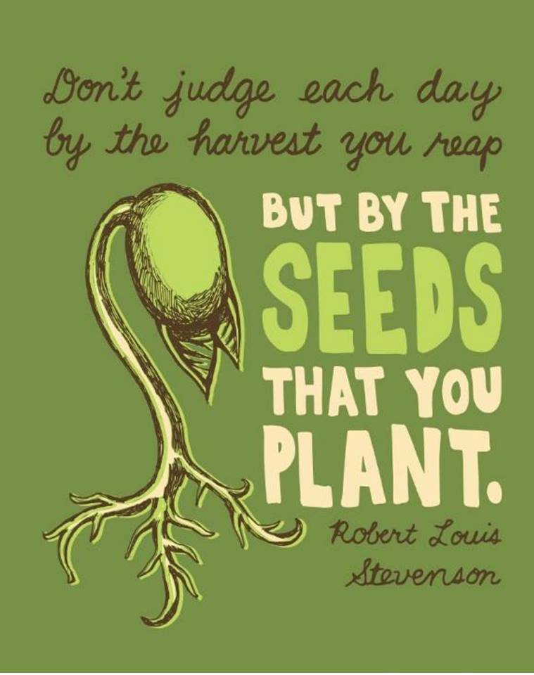 don’t judge each day by the harvest you reap but by the seeds that you plant. robert louis stevenson