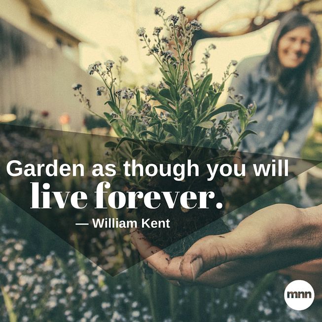 garden as though you will live forever. william kent