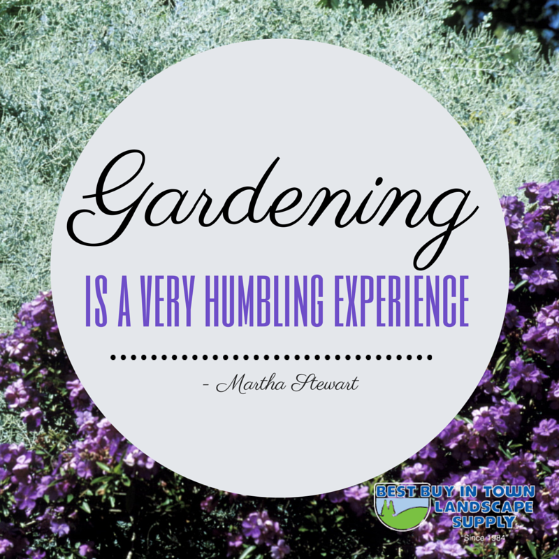 gardening is a very humbling experience. martha stewart
