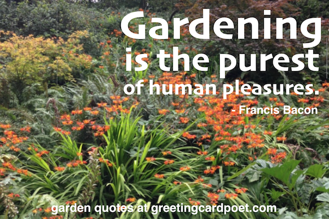 gardening is the purest of human pleasures. francis bacon