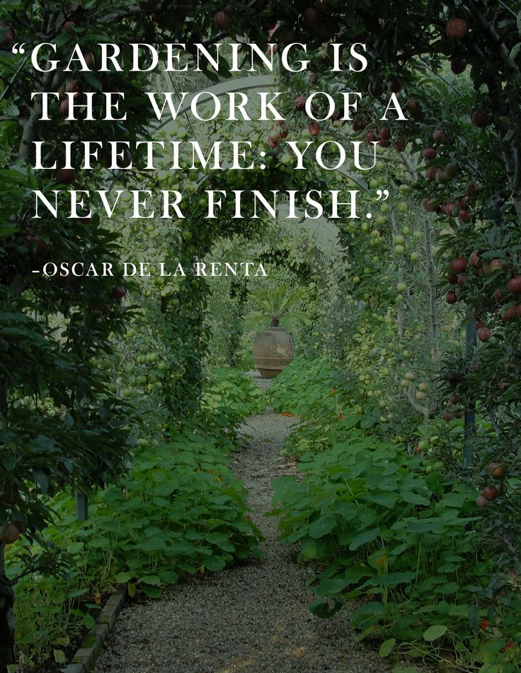 gardening is the work of lifetime. you never finish. oscar de la renta