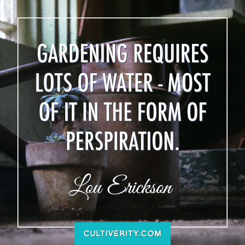 gardening requires lots of water – most of it in the form of perspiration. lou erickson