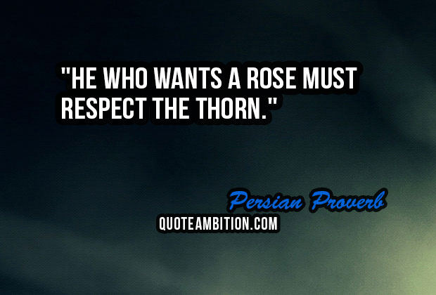 he who wants a rose must respect the thorn. persian proverb